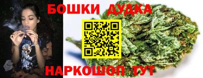 СК Обнинск
